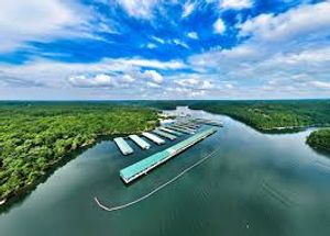 Top Things to Do in Beaver Lake, Arkansas