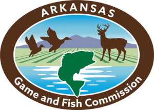 Arkansas Fishing License Information for Travelers and Anglers