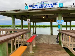Top Things To Do in New Smyrna Beach