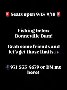 Late-Summer Salmon Action at Bonneville Dam