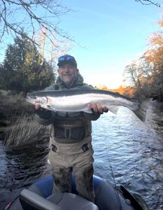 Prime River Conditions & Now Booking Guided Trips