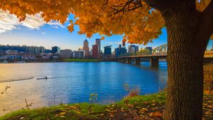 Things To Do In Portland Oregon