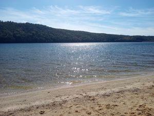 Exploring Forest Inn, PA: A Traveler’s Guide to Local Gems