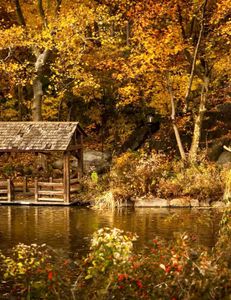 HEIC image test reports 