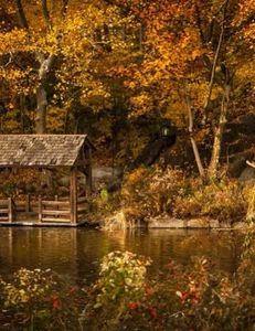 Ios pro reports images check 