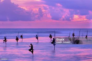 Angeline Cove Fishing Charter 