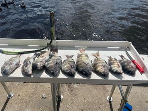 North Florida Inshore Tournament Action With Plenty of Fish