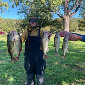 Ultimate Charter Fishing Texas, Bass Fish