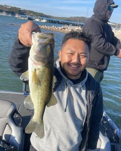 Guided Fishing Charter Texas, Bass Fish