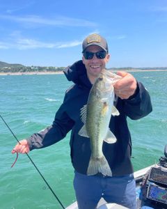 Thriving Lake Travis Fishing Guides, Bass Fishing
