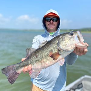 Fishing in Lakes, Bass Delight