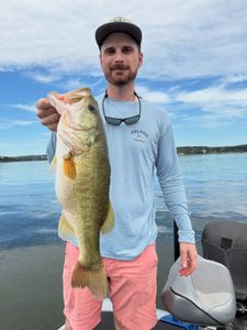 Hot Bass Action on Lake Travis – Book Your August and September Trips Now!