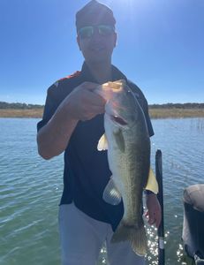 Lake Travis fishing report