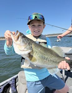 Lake Travis fishing report