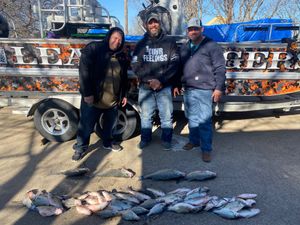 Premium Bass & Crappie Fishing Trips in Texas