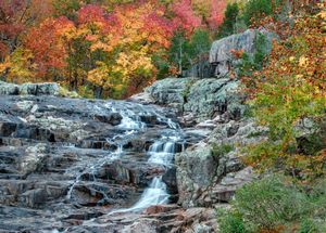 Top Things to Do in Missouri 