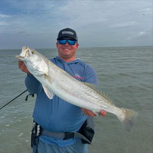 Hunting Big Trout Over the Holiday Weekend