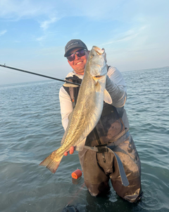 Port O'Connor Fishing Report 