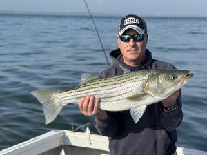 Striped Bass Bite Heats Up in Neptune City – Trophy Fish Hitting Hard in Surf and Offshore Waters