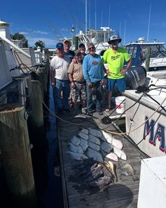 Steady Action and a Solid Mixed Bag Offshore