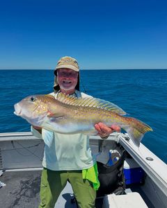 Hard fishing and a great box, with multiple limits and more close behind.