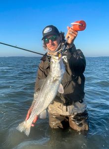 Wade Fishing for Speckled Trout