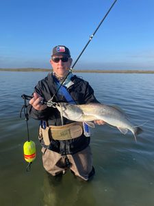 Wade Fishing for Speckled Trout