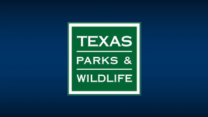 Texas Fishing License