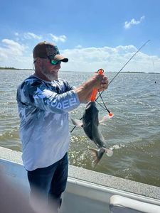 Finest catch in Louisiana