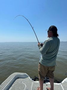 Patience is the key in fishing here in Louisiana