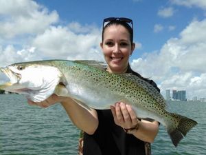 Large Speckled Trout in Florida