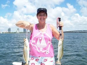 Speckled Trout in Florida