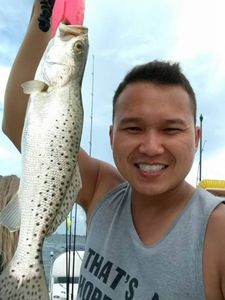 Speckled Trout in Florida