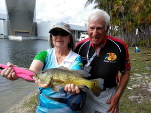 Florida Peacock Bass