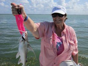 Gafftopsail Catfish in Florida