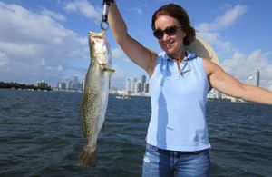 Top Sea Trout Fishing in Florida