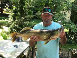 Lake Erie Fishing License