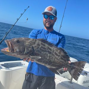 Cast your line for Grouper