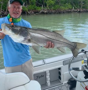 Marco Island, FL fishing: Snook-fishing!