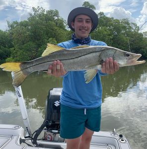 Reel in the big catch: Snook!