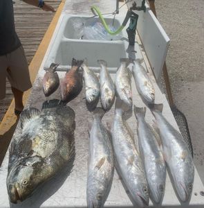 Hooked on fishing Florida style