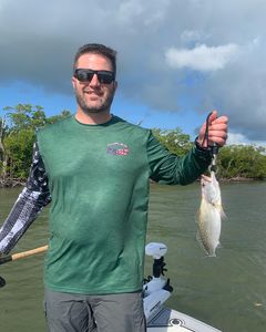 Redfish run in Marco Island, FL waters