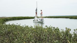 The Charleston Checklist: 6 Must-See Attractions for Your Next Tr