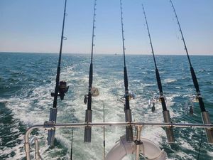 Unforgettable Alabama fishing Charters!