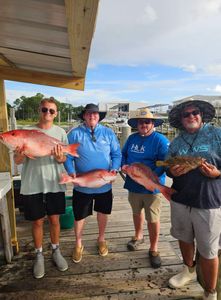 Days Are Getting Hotter and the Bite Is Keeping Up