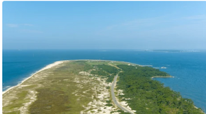 Things To Do In Gulf Shores