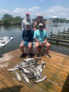 Great Fishing Conditions on Sunday