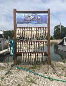 Lake Erie Fishing Trips