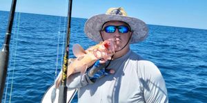 Best Time to Go Fishing in Panama City FL