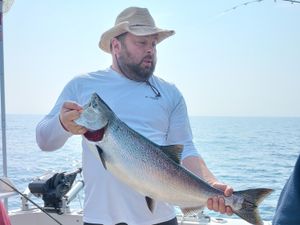 Kings & Cohos Biting!